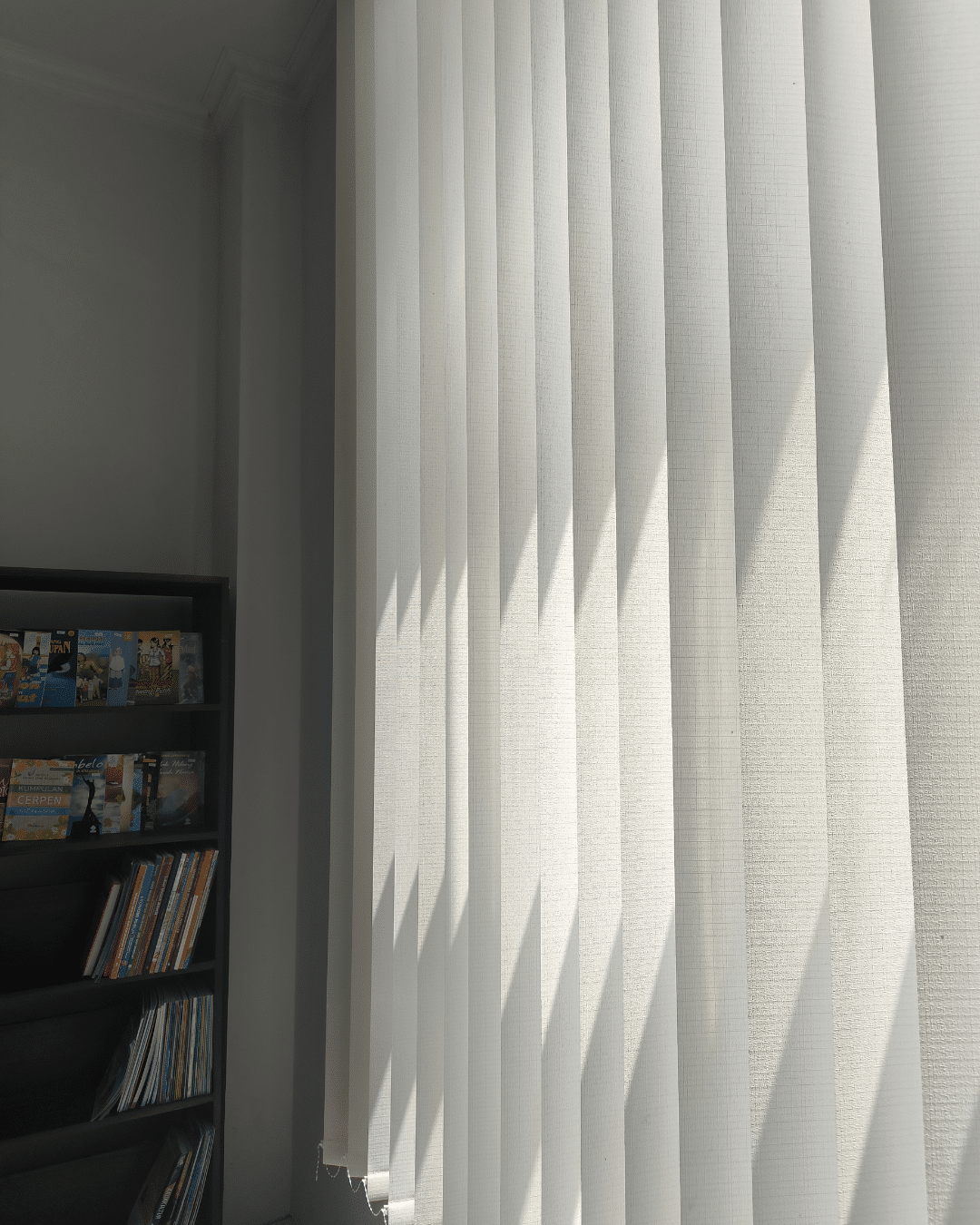 Vinyl Vertical Blinds Loveland CO